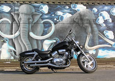 Honda VF 750 C Magna  Kan købes - April 2007 billede 3