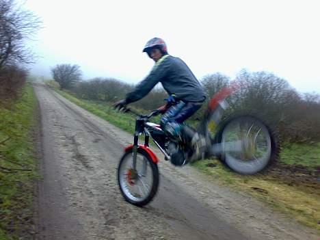 Gas Gas 280 txt pro billede 2