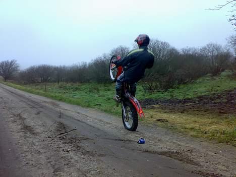 Gas Gas 280 txt pro billede 3