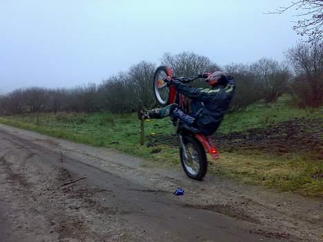 Gas Gas 280 txt pro billede 4