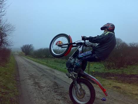 Gas Gas 280 txt pro billede 6