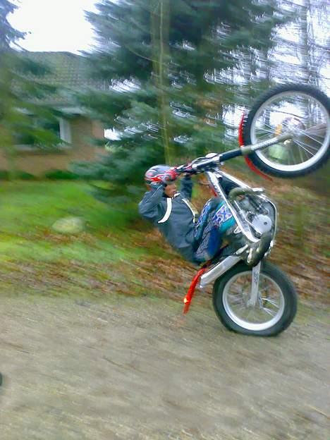 Gas Gas 280 txt pro billede 8