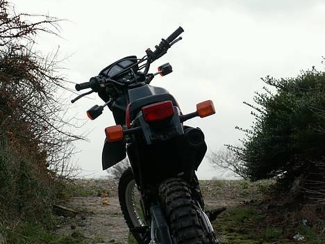 Honda XL 250R *Solgt* - Min XL´er længes efter at komme ud i naturen billede 1