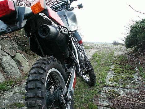 Honda XL 250R *Solgt* - Bagdelen...let og elegant billede 5