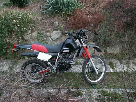Honda XL 250R *Solgt* - Med siden til kan man fornemme de utæmmede kræfter bag det blide ydre billede 10