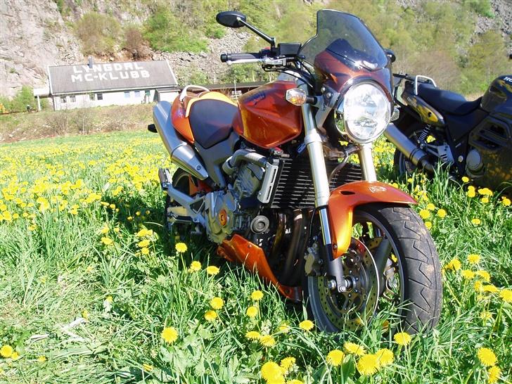 Honda Hornet - Lyngdal Mc i Norge billede 11