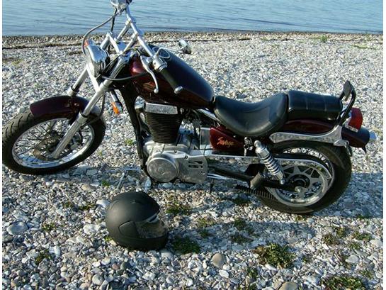Suzuki LS 650 (solgt) billede 1