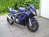 Suzuki SV 1000 S ( Solgt ) [Tidl. motorcykel]