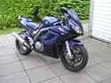 Suzuki SV 1000 S ( Solgt )