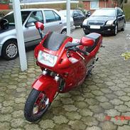 Honda CBR 600 *SOLGT*