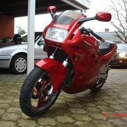 Honda CBR 600 *SOLGT*