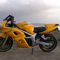 Suzuki *Brumbassen* SV 650 s DØD