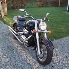 Suzuki VL 800 Volusia "SOLGT"