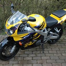 Honda CBR 900,  **SOLGT**