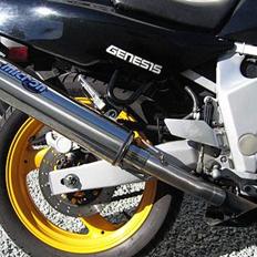 Yamaha FZR 600 *SOLGT*