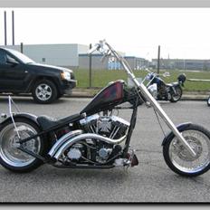 Harley Davidson WCC.
