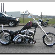 Harley Davidson  WCC.