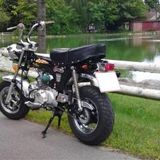 Skyteam Dax. / Mg - Flotteste.