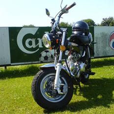 Skyteam Dax. / Mg - Flotteste.