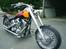Harley Davidson CUSTUM
