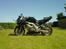 Suzuki SV 650 S   ¤¤  SOLGT ¤¤ - Geden kørt på græs.
