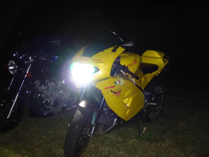 Aprilia RSV 1000R Factory - Xenonlys. Very nice. billede 7