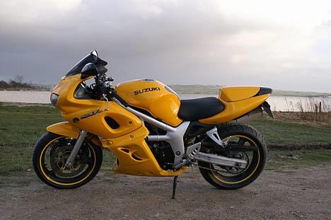 Suzuki *Brumbassen* SV 650 s DØD billede 1