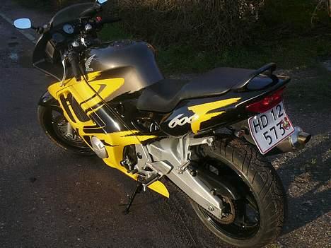 Honda cbr 600 f3 billede 9
