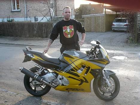 Honda cbr 600 f3 - Igen mig og min cykel billede 11