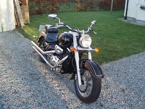 Suzuki VL 800 Volusia "SOLGT" billede 2