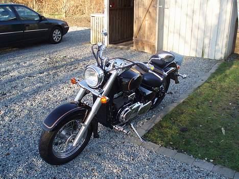 Suzuki VL 800 Volusia "SOLGT" billede 3