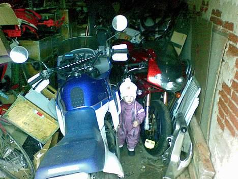 Honda Transalp *SOLGT* billede 10