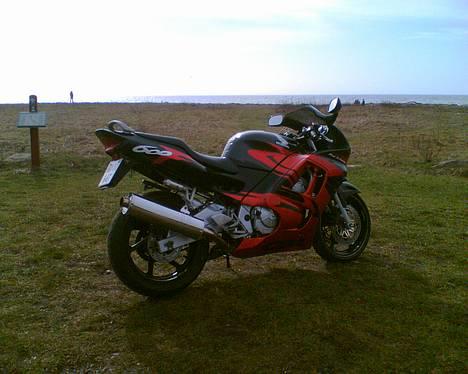 Honda CBR 600 F3  billede 10