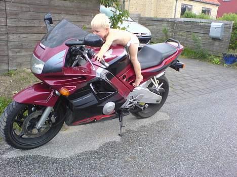 Honda CBR 600 - Det kan godt være at jeg er glad for "Lynkineseren" Men min nevø er helt pjattet med den.  billede 2