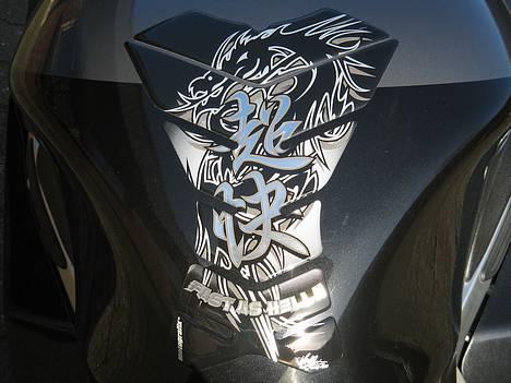 Suzuki Hayabusa SOLGT - ny tank beskytter billede 15