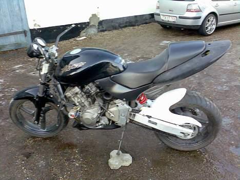 Honda Hornet Fighter (solgt) billede 8