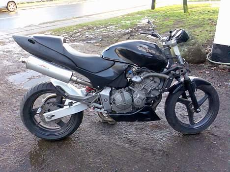 Honda Hornet Fighter (solgt) billede 9