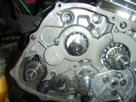 Jinlun Sælges pris 3000 kr billede 17