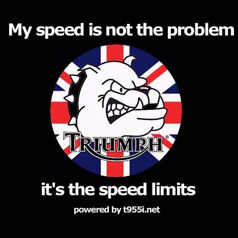 Triumph 955i Sprint RS billede 16