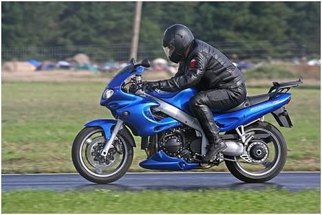 Triumph 955i Sprint RS billede 17