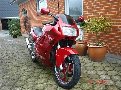 Honda CBR 600 *SOLGT* billede 1