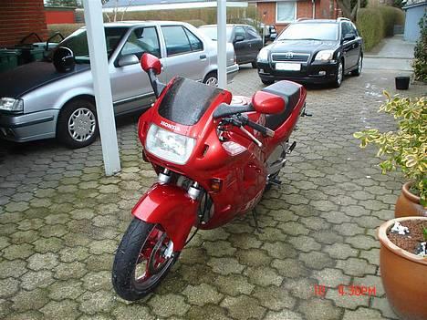 Honda CBR 600 *SOLGT* - Nye billeder billede 2