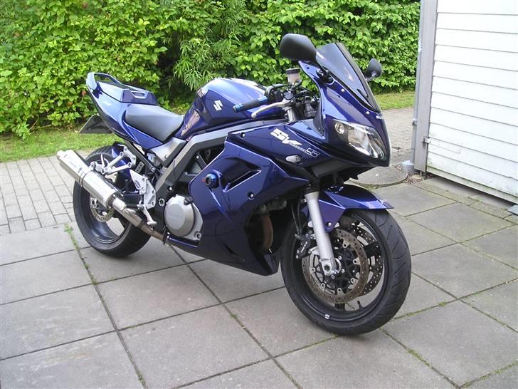 Suzuki SV 1000 S ( Solgt ) billede 1