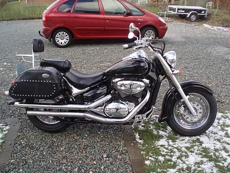 Suzuki VL 800 Volusia "SOLGT" billede 5