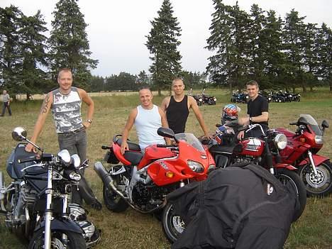 Suzuki GSF 600 (SOLGT) - her er så lige kommet nogle gæve gutter fra klubben med....ups billede 4