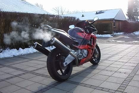 Honda cbr 600 billede 2