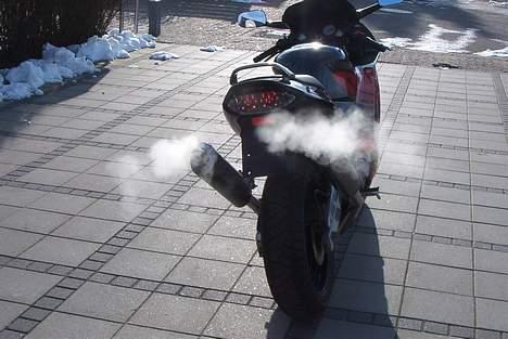 Honda cbr 600 billede 5