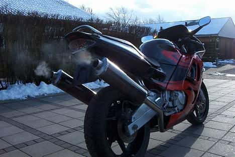 Honda cbr 600 billede 13