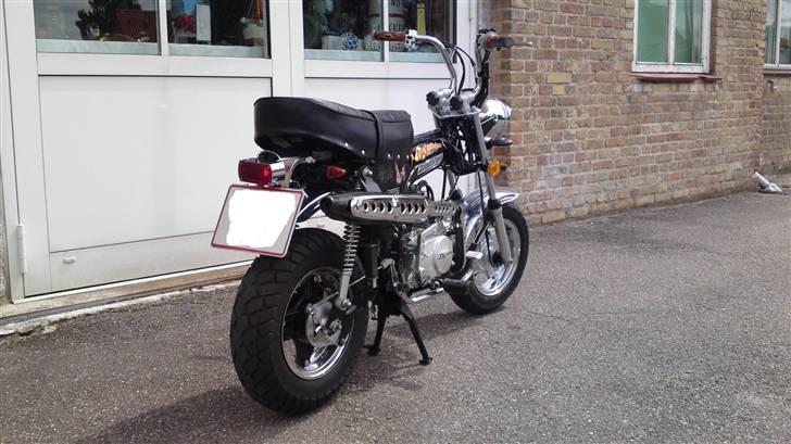 Skyteam Dax. / Mg - Flotteste. billede 4