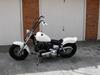 Harley Davidson FLH